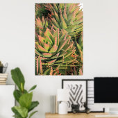succulent poster (Thuiskantoor)