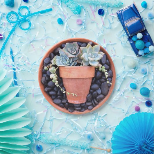 Succulent Pot in een Bord met pottenpapier (Feest)