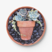 Succulent Pot in een Bord met pottenpapier (Voorkant)