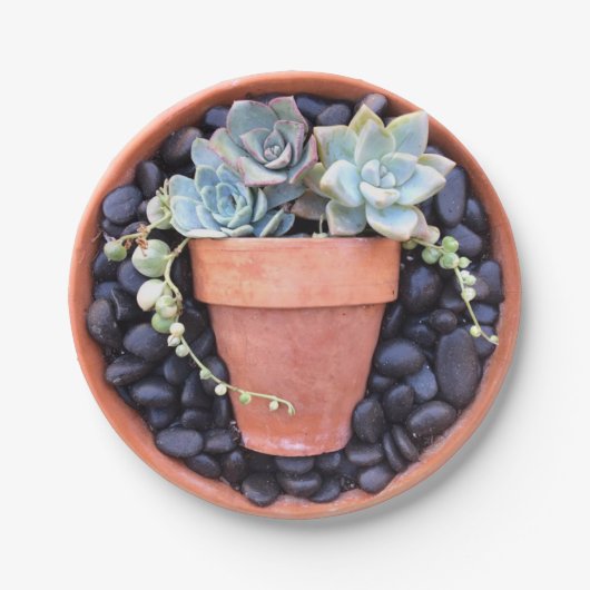 Succulent Pot in een Bord met pottenpapier (Voorkant)