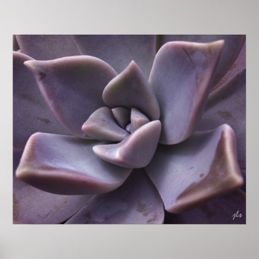 succulent print (Voorkant)