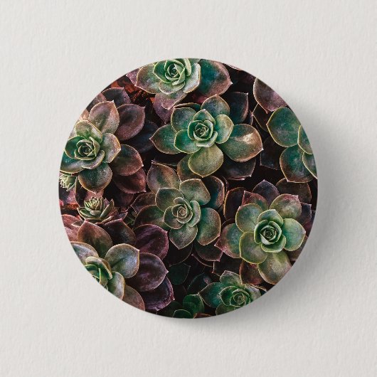 Succulent Ronde Button 5,7 Cm (Voorkant)