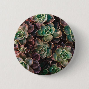 Succulent Ronde Button 5,7 Cm