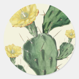 Succulent Ronde Sticker