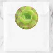 Succulent Ronde Sticker (Tas)