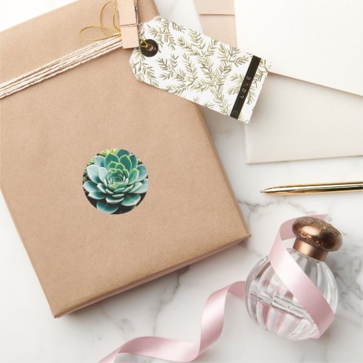 Succulent Ronde Sticker (Geschenken)