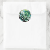 Succulent Ronde Sticker (Tas)