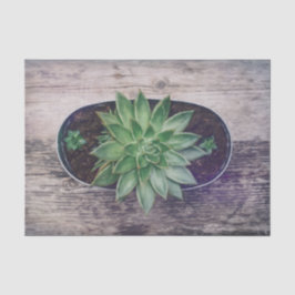 Succulent Rustic Green Art die ontleent Tissuepapier