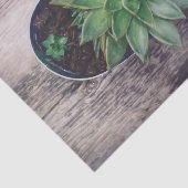 Succulent Rustic Green Art die ontleent Tissuepapier (Detail)