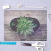 Succulent Rustic Green Art die ontleent Tissuepapier (Craft)