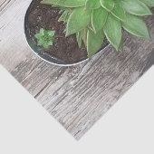 Succulent Rustic Green Art Sketch Decoupage Tissuepapier (Detail)