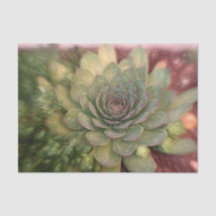Succulent Rustic Green Country Schets Design