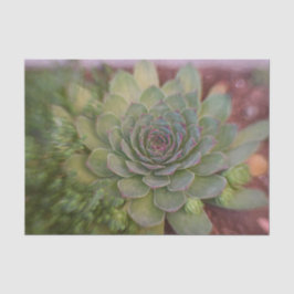 Succulent Rustic Green Country Waterverf Tissuepapier