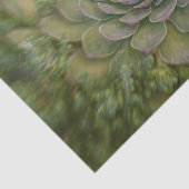 Succulent Rustic Green Country Waterverf Tissuepapier (Detail)