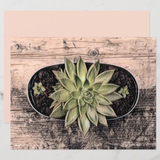 Succulent Rustic Green Vintage Botanical Decoupage (Voorkant / Achterkant)