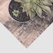 Succulent Rustisch Vintage Groene Botanische Ontvl Tissuepapier (Detail)