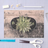 Succulent Rustisch Vintage Groene Botanische Ontvl Tissuepapier (Craft)