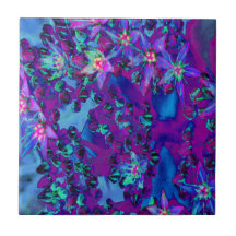 Succulent Sedum Flowers in Blauwgroen, magenta en 