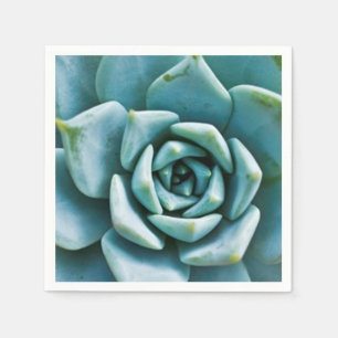 Succulent Servet