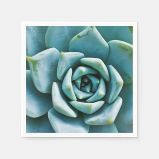 Succulent Servet (Voorkant)