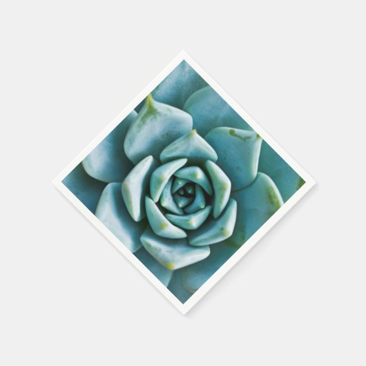 Succulent Servet (Hoek)