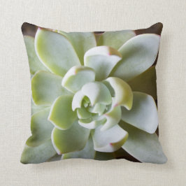 Succulent Sierkussen