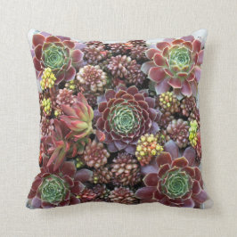 Succulent Sierkussen
