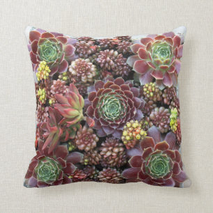 Succulent Sierkussen