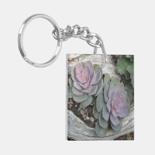 Succulent Sleutelhanger (Voorkant Links)