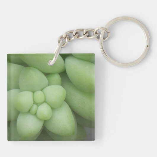 Succulent Sleutelhanger (Achterkant)