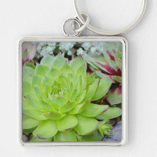 Succulent Sleutelhanger