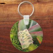  Succulent Sleutelhanger (Voorkant)