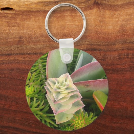  Succulent Sleutelhanger (Voorkant)