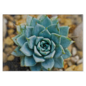 Succulent Snijplank (Voorkant)