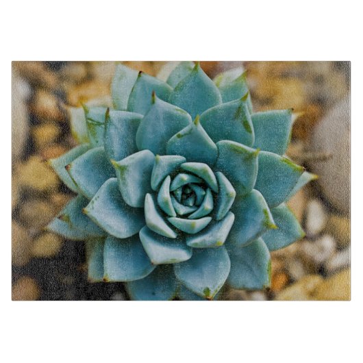 Succulent Snijplank (Voorkant)