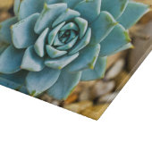 Succulent Snijplank (Hoek)