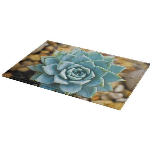 Succulent Snijplank (Hoek)