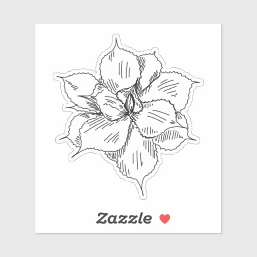 Succulent Sticker (Vel)