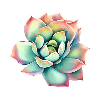 Succulent Sticker