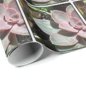 #succulent, Succulent plant, roze succulent Cadeaupapier (Rol Hoek)