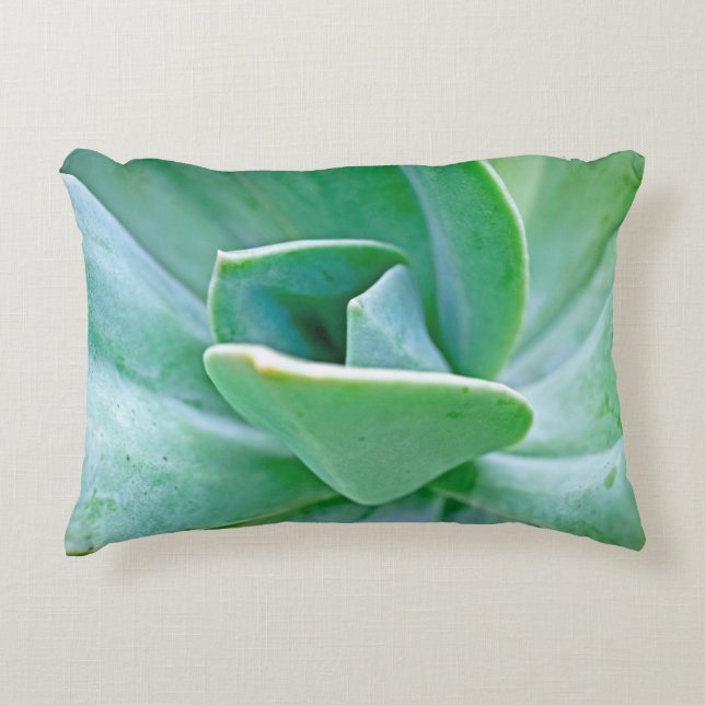 Succulent Swirl Accent Kussen (Voorkant)