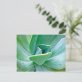 Succulent Swirl Briefkaart (Staand voorkant)