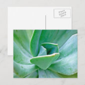 Succulent Swirl Briefkaart (Voorkant / Achterkant)