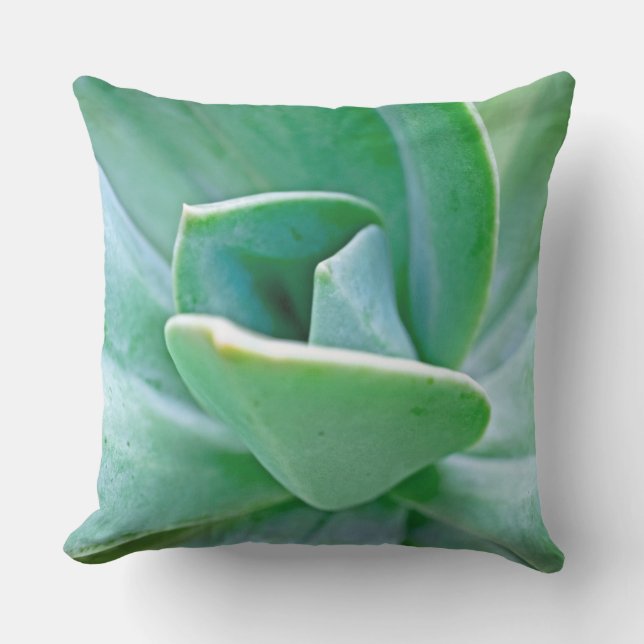 Succulent Swirl Buitenkussen (Voorkant)