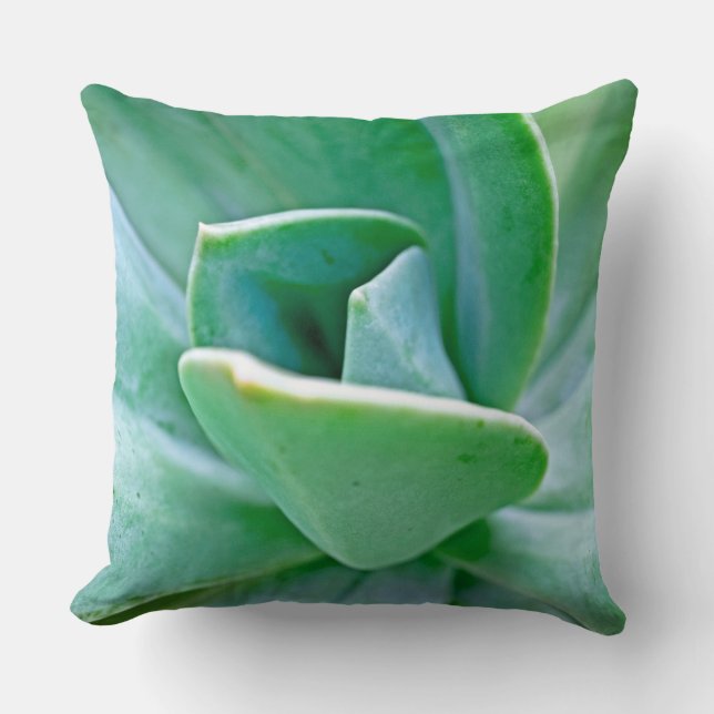Succulent Swirl Kussen (Voorkant)