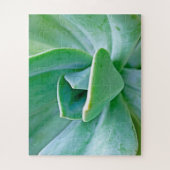 Succulent Swirl Legpuzzel (Verticaal)