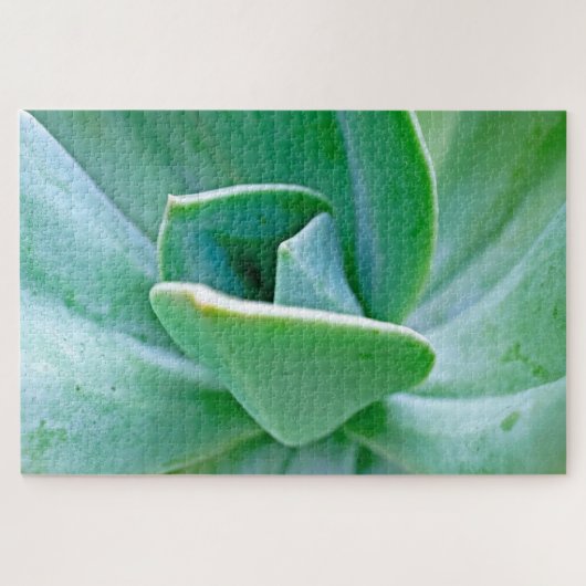 Succulent Swirl Legpuzzel (Horizontaal)