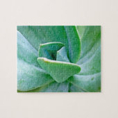 Succulent Swirl Legpuzzel (Horizontaal)