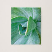 Succulent Swirl Legpuzzel (Verticaal)