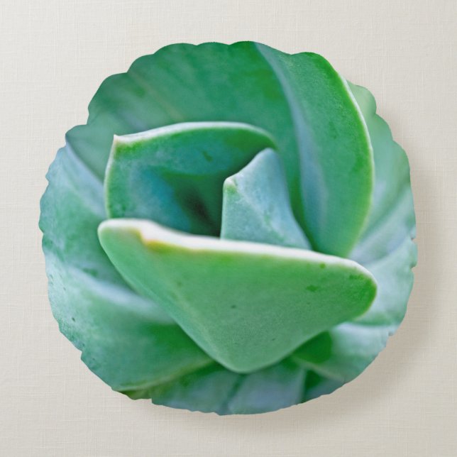 Succulent Swirl Rond Kussen (Voorkant)
